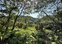 關西鎮-土地，2819坪