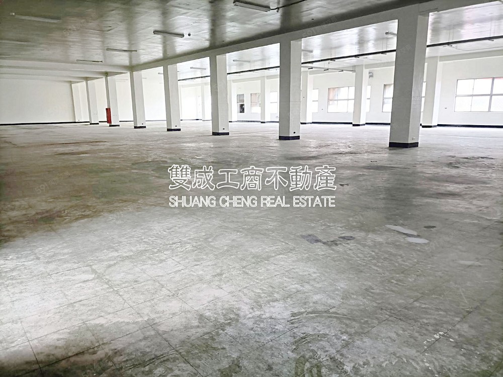 照片