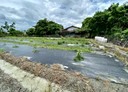 麟洛鄉-土地，359坪