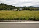 頭屋鄉-土地，871.2坪