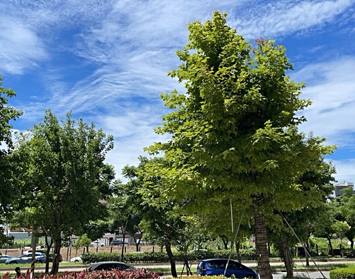 青埔A19國際生活圈-威均晶璽 - Image 12