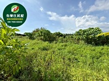 麟洛大面寬都計農地|有電・..