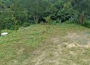 竹東鎮-大鄉段土地，412.2坪