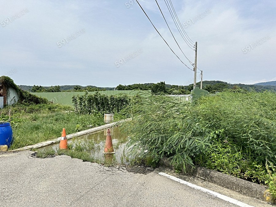 大樸宏庭實景圖