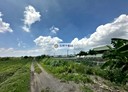 萬丹鄉-香社段土地，783.5坪