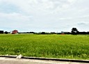 大園區-土地，374坪