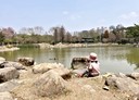 鼓山區-龍勝路2房2廳，26.3坪