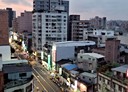 樹林區-中山路一段1房0廳，13.3坪
