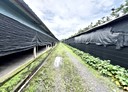 魚池鄉-土地，1112.5坪