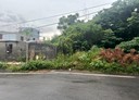 湖口鄉-土地，2191坪