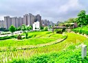 桃園區-民富十三街2房2廳，38.4坪