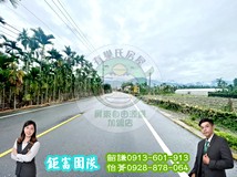 獨家|萬巒成德臨10米路大面..