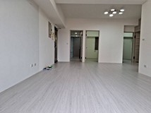 龍安路鑫典團隊*龍安路大器..