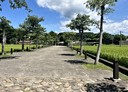 大溪區-土地，594坪