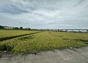 後龍鎮-建興路土地，462.8坪