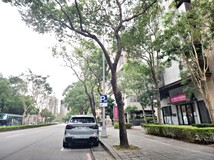 學成路皇勝秀鼎-區部用旗艦..