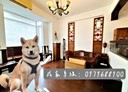 新店區-黎明路3房2廳，44.6坪