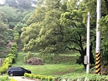 ❤️築夢山林帶您山林築夢❤..