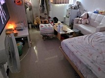 同安街藝總總圖🪶啾愛這一鍋..