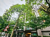 重陽路🌿【南港樹海2房】樹..