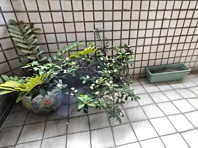 社區圖片