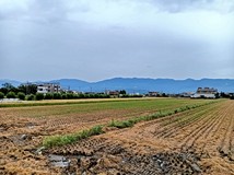 功勞段新樂園五結店🌱近高速..