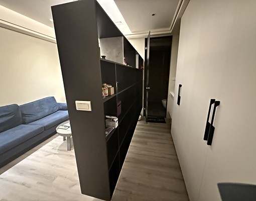 青埔高鐵站前禾林Richone屋主自租 - 591租屋網 - Image 5