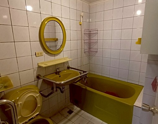 寄居蟹/同泰大庭園美3房/可租補 - Image 7