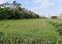 觀音區-藍埔段土地，437.1坪