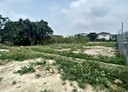 神岡區-土地，184坪