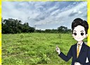 旗山區-土地，793.2坪