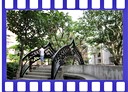 內湖區-康樂街3房2廳，34.7坪