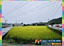 關西鎮-中山路土地，587坪