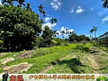 東區少有釋出小筆都計農地-..