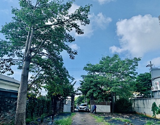 歐式350坪庭院獨棟別墅雅房出租🌳小資首選🌳無管理費 - Image 2
