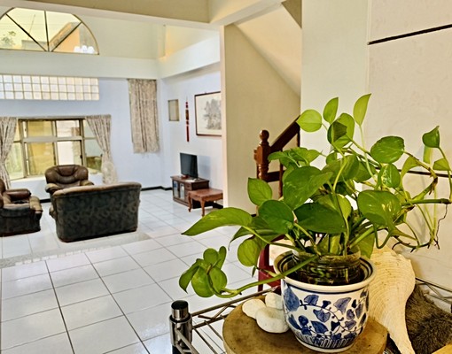 歐式350坪庭院獨棟別墅雅房出租🌳小資首選🌳無管理費 - Image 11