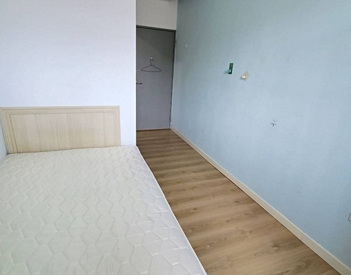 C大晟租屋保證真實可貓雙租補超便宜套房 - Image 5