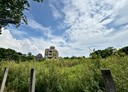 林口區-新林段土地，281.8坪