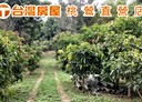龜山區-土地，8500坪