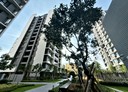 北區-東大路二段3房2廳，43.3坪