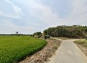 歸仁區-土地，8711坪