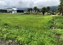 花蓮市-國股段土地，118.3坪