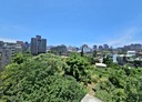 林口區-仁愛路二段開放式格局，260.5坪