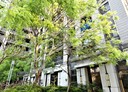 中壢區-青商路2房2廳，42.2坪