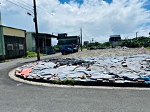 龍祥三路冬山東興段公園旁蓋..