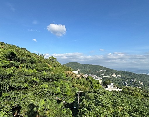 陽明山豪景泳池別墅 - Image 7