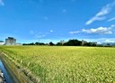 冬山鄉-土地，907.8坪