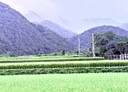 玉里鎮-土地，893坪