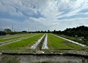萬丹鄉-廣安段土地，681坪