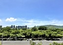 鼓山區-明誠四路4房2廳，74.3坪